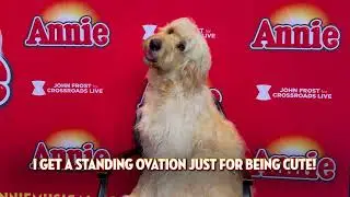 It's Kennel Korner with Sandy from Annie the Musical