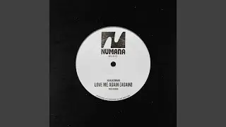 Love Me Again (Again)