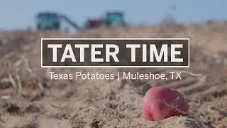 Tater Time | Texas Potatoes