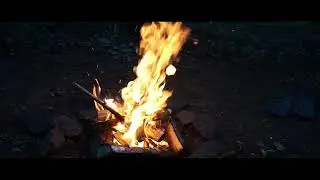 bushcraft viroival
