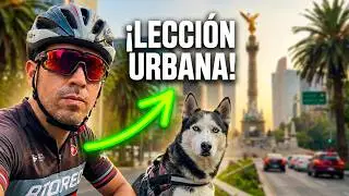 BIKEJORING COUCH -LECCI&Oacute;N PALACIO DE BELLAS ARTES🇲🇽🐺 #bikejoring #husky #huskylife
