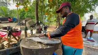 Incredible!! Village Boy Traditional Fish Cutting Skills