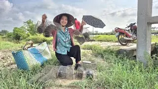 Hai vợ chồng miền bắc săn ổ cống nhum khủng khu cỏ hoang lâu năm/t24
