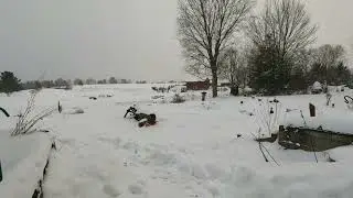 Snow Day Over The Pond _ Nature Asmr // Whitt Acres