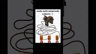 Onde est&aacute; amarrado o burro? #minecraft
