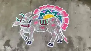 Mattu pongal kolam | Happy mattu pongal | cow kolam | easy rangoli | muggulu | Rovi Rangoli |