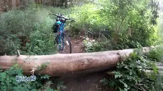 Galloping Goose Trail Bike Ride to Leechtown 2024