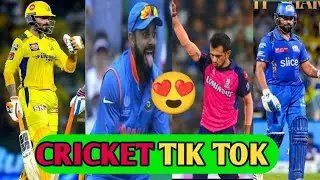 Amazing Cricket TikTok Compilation | Best Cricket Moments on TikTok