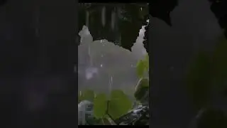 ASMR Relaxing Heavy Rain Video ⛈️🌧️😴#shorts #outsidetours #nyc #asmr #rainvideo #soothing #sleep