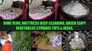 DIML vlog, mattress deep cleaning, green leafy vegetables storage tips & ideas