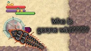 Ladybug VS Trilobite beetle [pocket ants Easter Event]