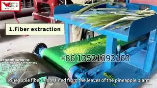 🌿Do You Know What Pineapple Leaves Can Do? 🌍 New Machine Saves 80% Water & Extracts Fibers 4x Faster