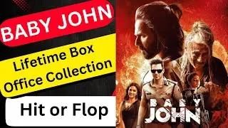 Varun Dhawan BABY JOHN 2024 Movie Lifetime Worldwide Box Office Collection Budget Hit or Flop