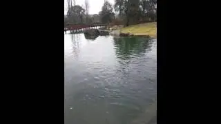 Armidale, NSW