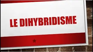 Biologie Génétique : Le dihybridisme de Mendel