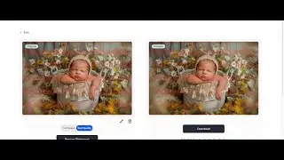 Ai photo watermark removal - how to protect your online galleries against theft as a photographer
