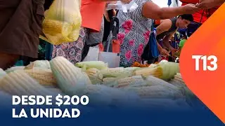 Pastel, humitas, porotos: El choclo vive su mejor momento de la temporada