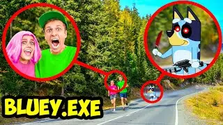 DRONE CATCHES BLUEY FAMILY IN REAL LIFE !