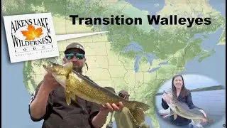 Catch More Walleye During Seasonal Transition Changes