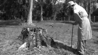 The Giving Tree- a Video Adaptation