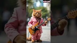 🔥Viral Cat  Playing Guitar in Alun-alun AlunRusia #empudstudioai #empudstudiogrup #shorts #cat