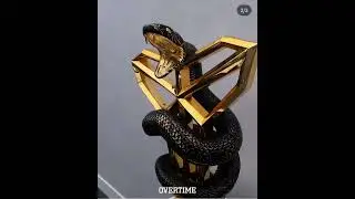 Mamba Invitational Trophy #kobe #nike #LA #mamba #esdn
