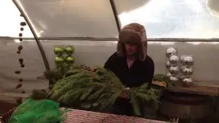 FRESH CHRISTMAS SWAG with Cory Christopher