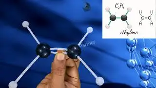 3D Molecular Structure of Ethylene (Ethene) #ethylene #chemistry