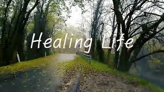 Immerse Yourself in the Rain | Emotional Healing Video