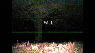 the leaves can't fall without my tears falling beside them