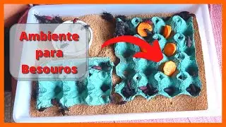 Como cuidar dos besouro do tenébrio gigante (tutorial)