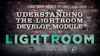 Understanding the Lightroom Develop Module
