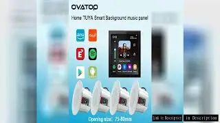 Smart Audio System TUYA Home Sound in Wall Amplifier Android 11 system WiFi Bluetooths Amp with Ster