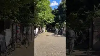 #GoldenBreeze #EmeraldShades #VisualSymphony #TokyoMoments #ShortVideo