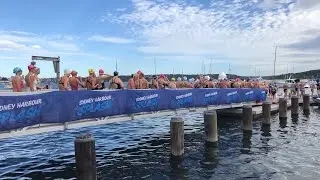 Sydney Harbour Splash 2024 &mdash; Be Active and Enjoy Benefits