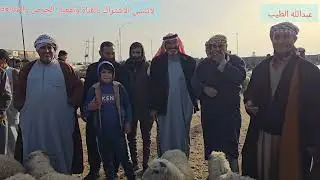 سوق مواشي صلاح الدين قضاء الشرقاط ناحية اشور 2026/2/1 #مواشي #عبدالله_الطيب #اغنام 
