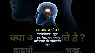 हाइपोथैलेमस के कार्य//functions of the hypothalamus #@humanbody777  #hypothalamus