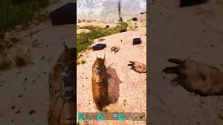 Bringing back the Rhino Meta on my Ark Pvp Cluster 🦏