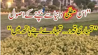The Harsh Reality of a Selfish World | Apni Qeemat Kabhi Mat Gawao | Our Naimat Family