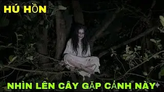 H&uacute; Hồn Khi Nh&igrave;n L&ecirc;n Ngọn C&acirc;y Đại Thụ Gặp Cảnh N&agrave;y Tại Ng&ocirc;i Miếu &Ocirc;ng Gi&agrave; - Phim Ma