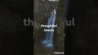 beauty