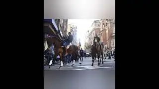 REPORTAJE GRAO CASTELLÓN SANT ANTONI 2026 , ALDARA DELEGADA TERRITORIAL Y LOCAL 