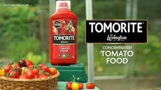 Tomorite 1L | Advert | B&M Stores