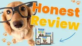 Brain Training for Dogs - Honest review | Brain Training for Dogs Review for Adrienne Farricelli