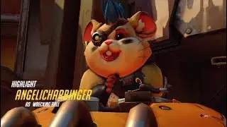 NERF HAMMOND