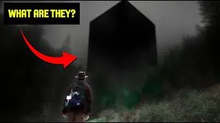 Что это за загадочный черный куб в лесу?