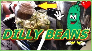Canning Dilly Beans | Easy Recipe | How To Make Dilly Beans