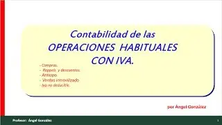 Contabilidad de las operaciones habituales con Iva.