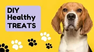 Healthy Homemade Dog Treats | Easy, No Bake, Grain Free Dehydrated Meat Treats