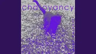 Chatoyancy